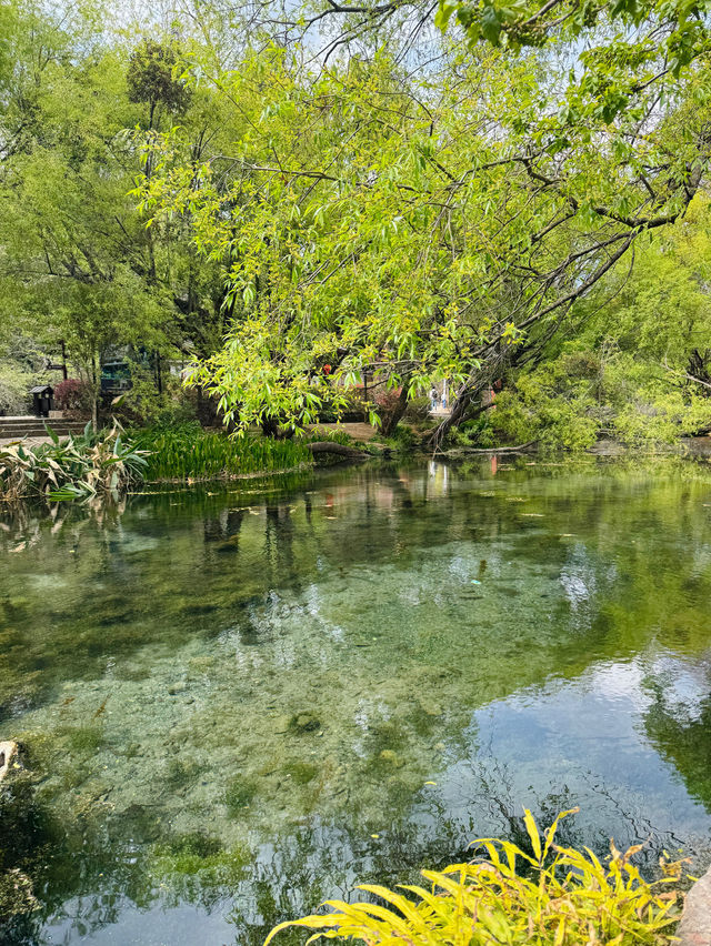 🇨🇳 Serene Escape to 束河古镇 (Shuhe Ancient Town), Lijiang