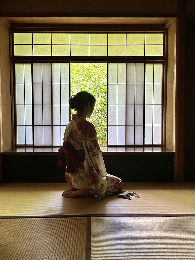 〜京都府〜暑くない！むしろ涼しい絶景🌱青紅葉のリフレクション