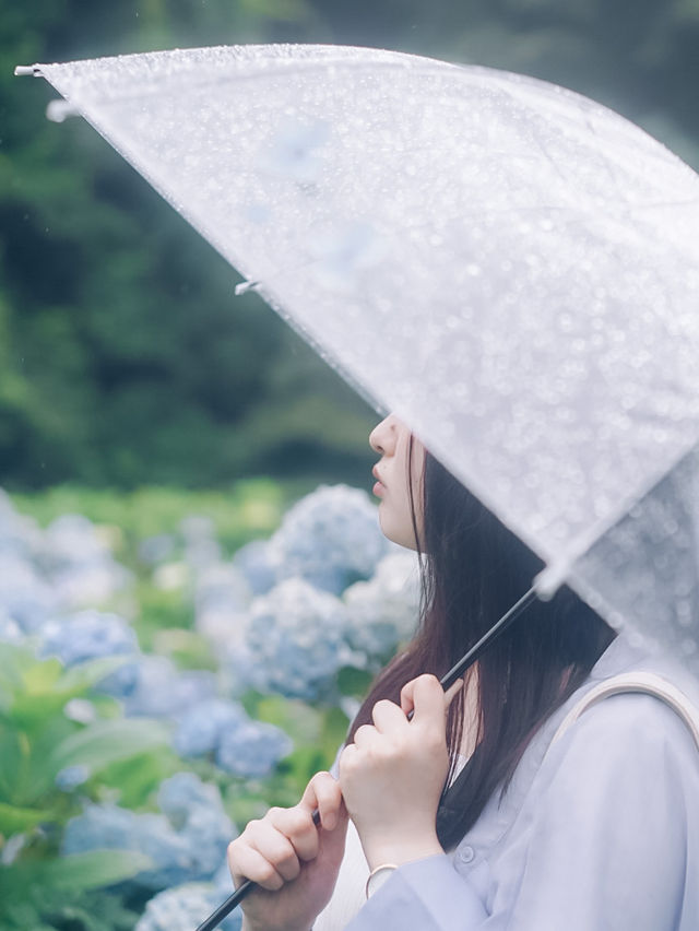 ここ知ってる？？【あじさい池が美しい🫧】日本最大級紫陽花映えスポット🫧