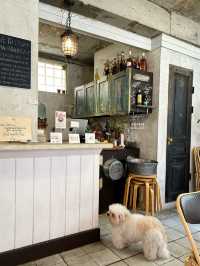 【釜山カフェ】田浦カフェ通りのフレトー専門店🐶