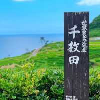 【絶景】世界農業遺産！白米千枚田