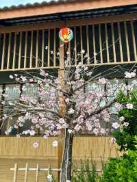 Oshinei 