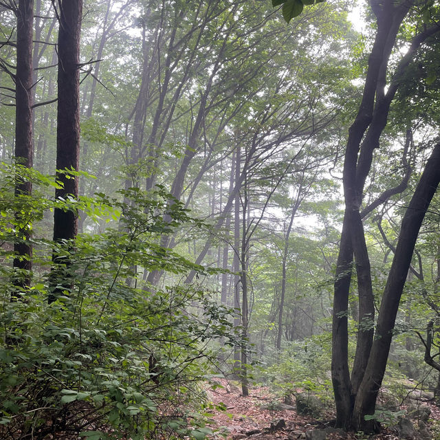 여름하면 계곡, 가평 유명산+유명계곡 추천!