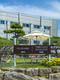 동탄 애견놀이터가 있는 브런치카페 아스타나퍼피