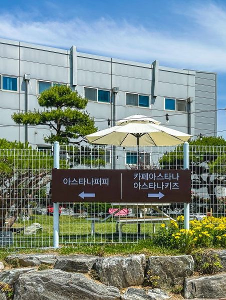동탄 애견놀이터가 있는 브런치카페 아스타나퍼피
