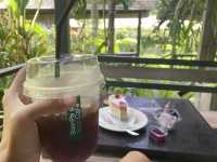 BaanPa’s Cafe ดอยสะเก็ด