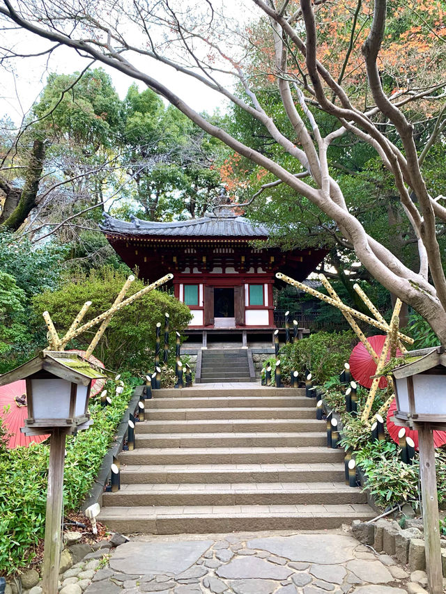 東京　東京観光　プリンスホテル日本庭園は圧巻の庭園だったぞ！