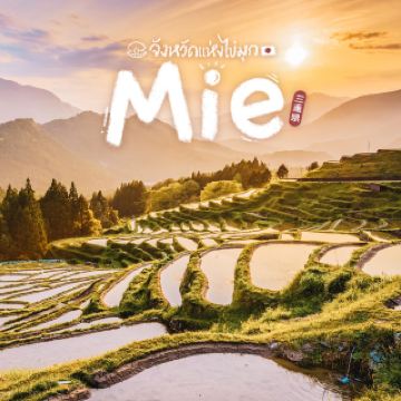 일본해 진주 현 논계단을 구경하세요