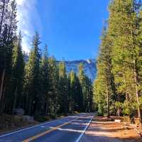 👣 Stunning Views at Yosemite National Park 