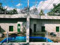 The Jinyangho Zoo 진양호동물원