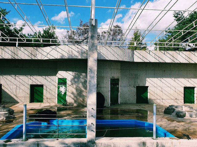 The Jinyangho Zoo 진양호동물원