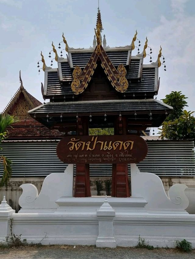 พิกัดสายมู ขอพรพระพิฆเนศ 📍วัดป่าแดด เชียงใหม่