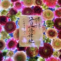 〜埼玉県〜花手水が美しい行田八幡宮！イベント情報も記載！
