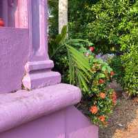 peaceful environment through a garden!