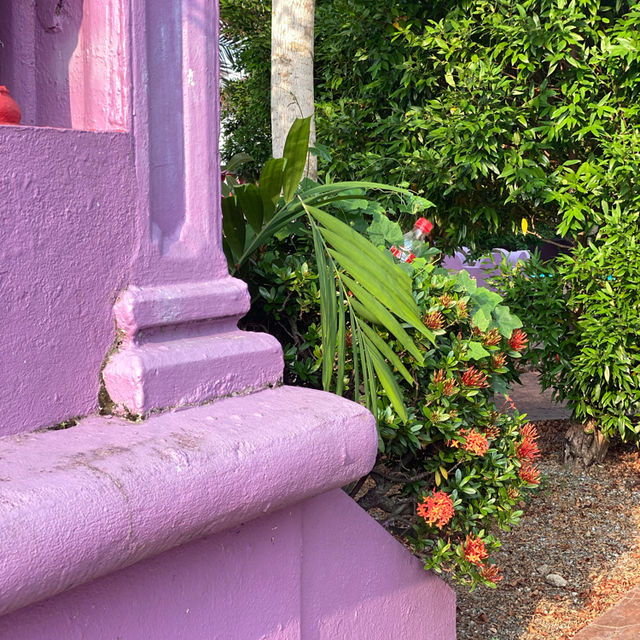 peaceful environment through a garden!