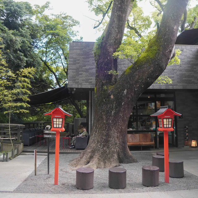 熱海避暑好去處🏖️ 來宮神社尋幽探秘