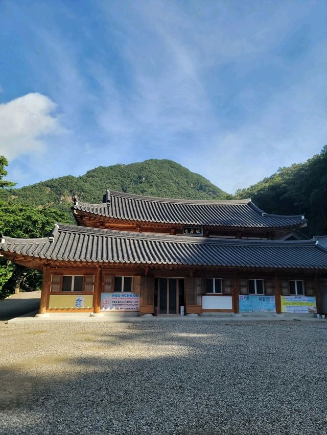 500년된 배롱나무가 있는 충북 영동 반야사💗