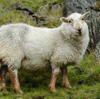 Snowdonia National Park