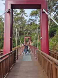 Dongbaek Island Busan