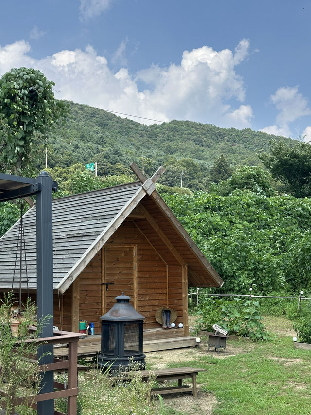 일본식 오두막집과 마당에서 🏞️ 유유히 놀기 좋은 양평 맛집탐방 여행 추천 