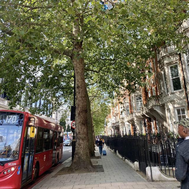 영국여행🇬🇧 런던에서 도시 이동할 땐 빅토리아 코치 스테이션으로 🚌