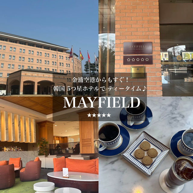 《韓国 / 江西区》 金浦空港からすぐ！ソウル5つ星ホテル MAFIELD HOTELでティータイム✨