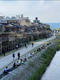 Walk Along the Kamo River in Kyoto 🍃🇯🇵