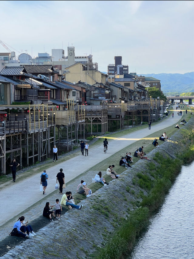 Walk Along the Kamo River in Kyoto 🍃🇯🇵