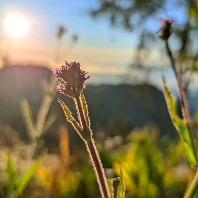 Mount Bromo