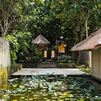 Slow travel ✨ 5 Days 4 Nights in Bali: Eat, Pray, Love