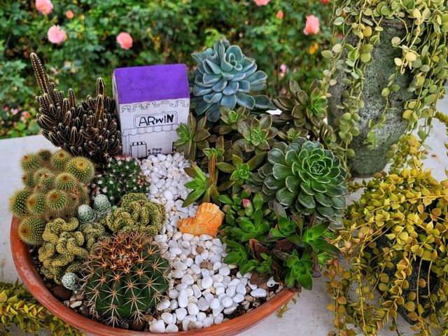 【苗栗】浪漫玫瑰花園，適合情侶家庭朋友賞花遊玩