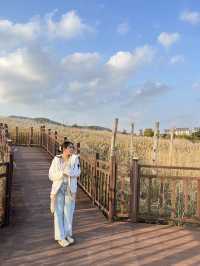  📍씨사이드파크 Seaside Park 