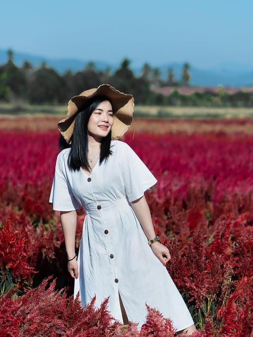 I Love Flower Farm สวนดอกไม้เชียงใหม่