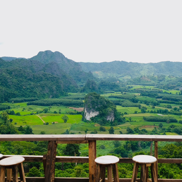 Magic Mountains Cafe #ผาช้างน้อย #พะเยา 
