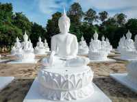 วัดบุ่งขี้เหล็ก ลานพระขาว 