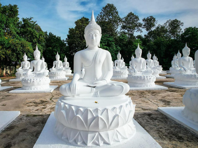 วัดบุ่งขี้เหล็ก ลานพระขาว 