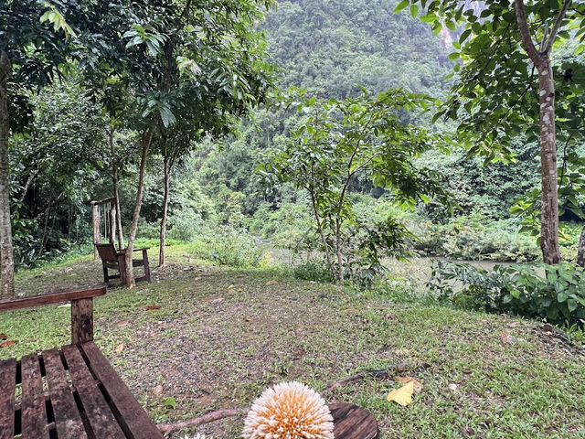 📍Our Jungle House จ.สุราฎร์ธานี