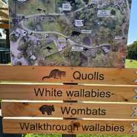 Experience Tasmania’s Wildlife at East Coast Natureworld, Bicheno
