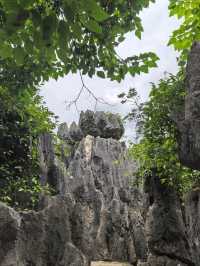 Stone Forest in Kunming 