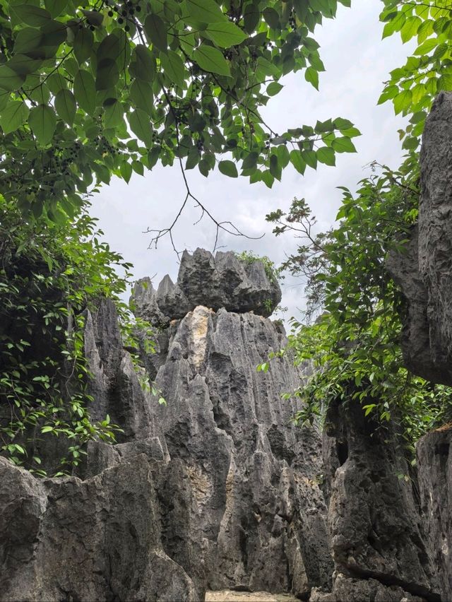 Stone Forest in Kunming 