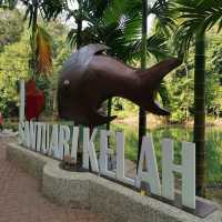 🇲🇾 Interact with the Wild: Kelah Fish Adventure at Tasik Kenyir