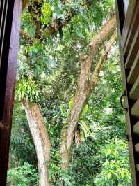 STAYCATION AT MUTIARA TAMAN NEGARA