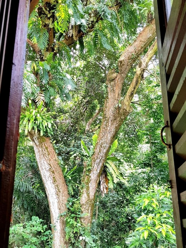 STAYCATION AT MUTIARA TAMAN NEGARA