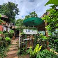 คาเฟ่บนดอย Jungle View Coffee