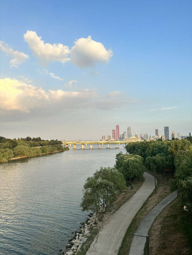 🇰🇷 首爾No.1 漢江公園 這景色真的是排第1名🌳