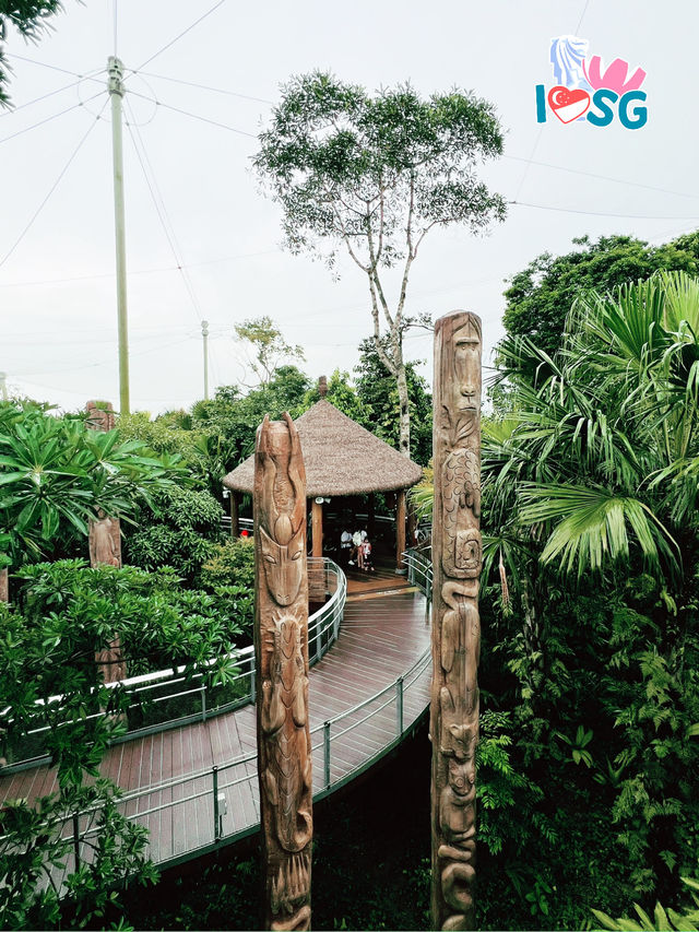 🇸🇬 Forest Suspension Bridge Bird Paradise