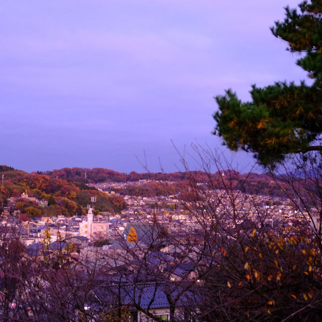 🍁 金澤兼六園:打卡紅葉仙境,感受江戶風情