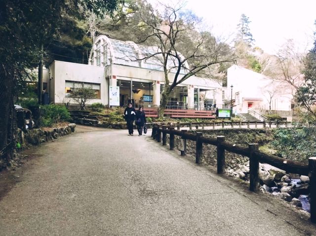 是大阪最近的國家公園