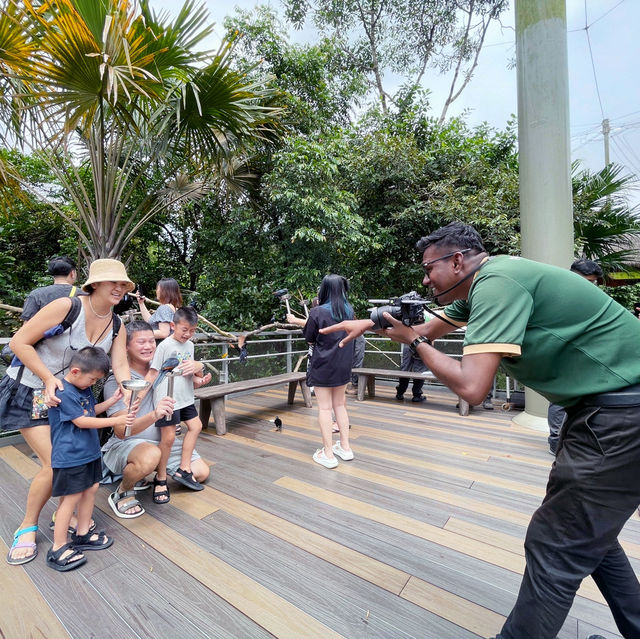 Bird paradise fun for the whole family!