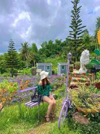 Little Amsterdam in Cebu!